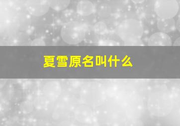 夏雪原名叫什么