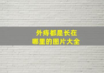 外痔都是长在哪里的图片大全