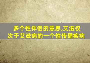 多个性伴侣的意思,艾滋仅次于艾滋病的一个性传播疾病