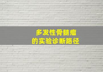 多发性骨髓瘤的实验诊断路径