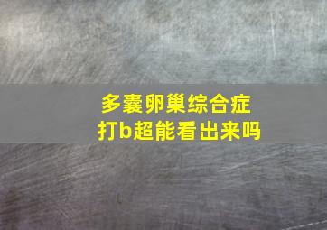 多囊卵巢综合症打b超能看出来吗