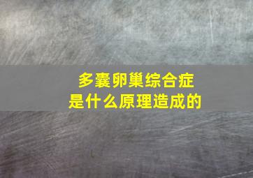 多囊卵巢综合症是什么原理造成的