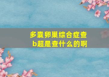 多囊卵巢综合症查b超是查什么的啊