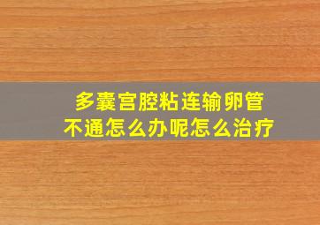 多囊宫腔粘连输卵管不通怎么办呢怎么治疗