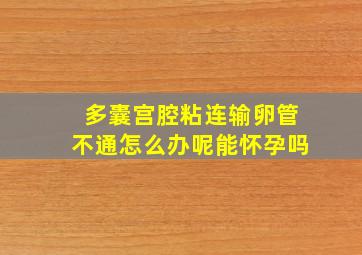 多囊宫腔粘连输卵管不通怎么办呢能怀孕吗