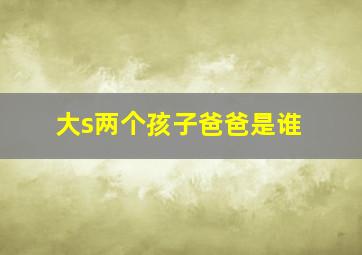 大s两个孩子爸爸是谁