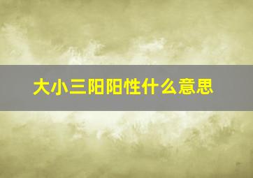 大小三阳阳性什么意思