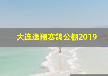 大连逸翔赛鸽公棚2019