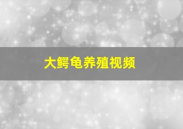 大鳄龟养殖视频