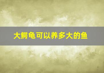 大鳄龟可以养多大的鱼