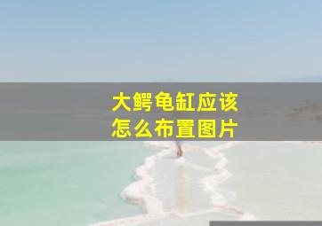 大鳄龟缸应该怎么布置图片