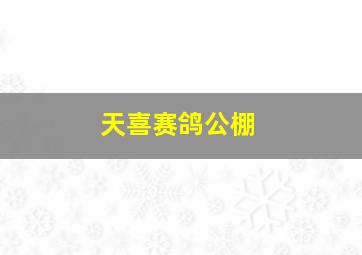 天喜赛鸽公棚