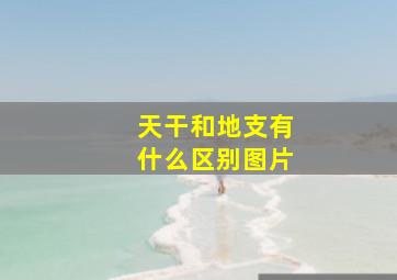 天干和地支有什么区别图片