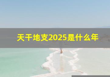 天干地支2025是什么年