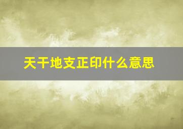 天干地支正印什么意思