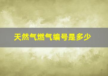 天然气燃气编号是多少