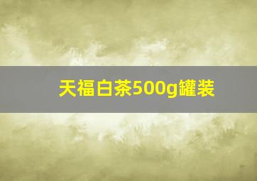 天福白茶500g罐装