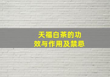 天福白茶的功效与作用及禁忌