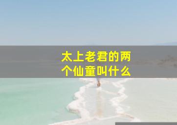 太上老君的两个仙童叫什么