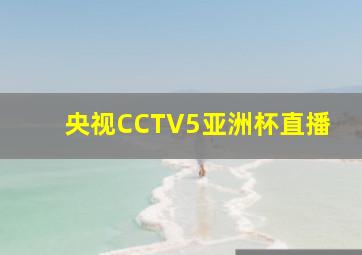 央视CCTV5亚洲杯直播