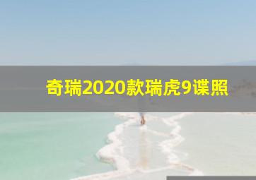 奇瑞2020款瑞虎9谍照