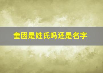 奎因是姓氏吗还是名字