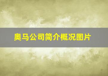 奥马公司简介概况图片