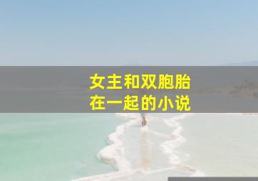 女主和双胞胎在一起的小说