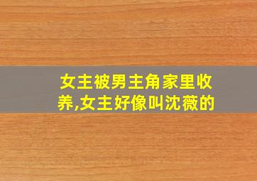 女主被男主角家里收养,女主好像叫沈薇的