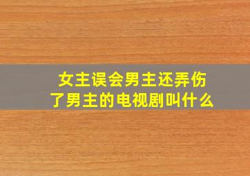 女主误会男主还弄伤了男主的电视剧叫什么