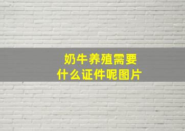 奶牛养殖需要什么证件呢图片