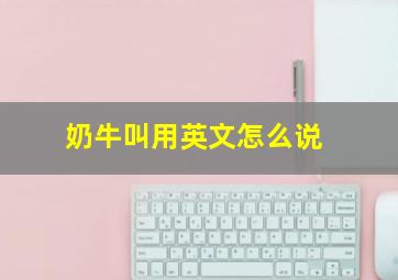 奶牛叫用英文怎么说