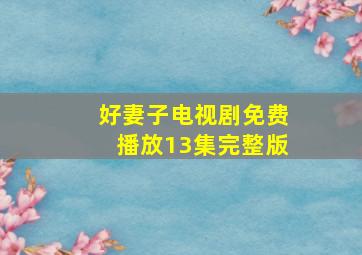 好妻子电视剧免费播放13集完整版