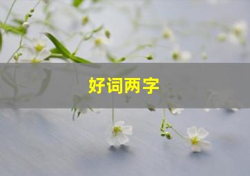 好词两字