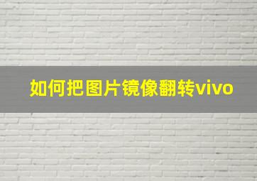 如何把图片镜像翻转vivo