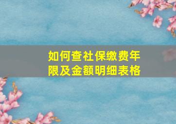 如何查社保缴费年限及金额明细表格