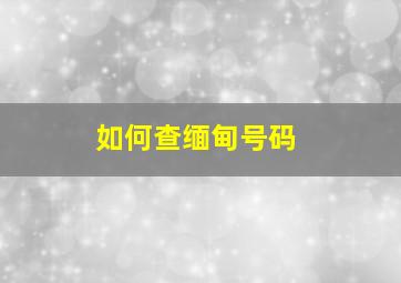 如何查缅甸号码