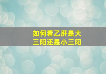 如何看乙肝是大三阳还是小三阳