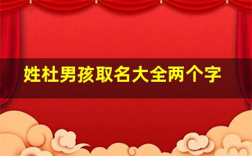 姓杜男孩取名大全两个字