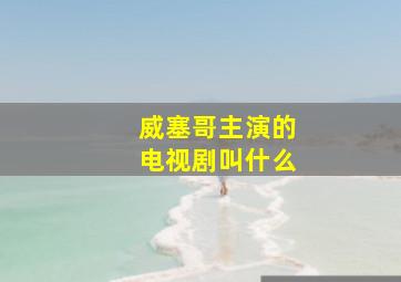 威塞哥主演的电视剧叫什么