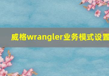 威格wrangler业务模式设置