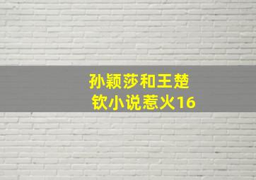 孙颖莎和王楚钦小说惹火16