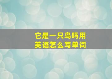 它是一只鸟吗用英语怎么写单词