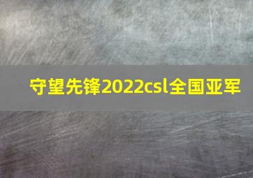 守望先锋2022csl全国亚军