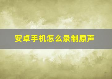 安卓手机怎么录制原声