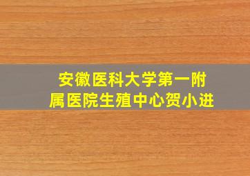 安徽医科大学第一附属医院生殖中心贺小进