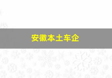 安徽本土车企