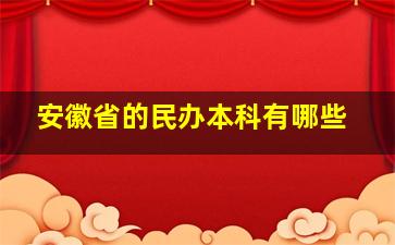 安徽省的民办本科有哪些