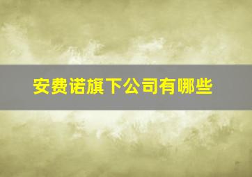 安费诺旗下公司有哪些