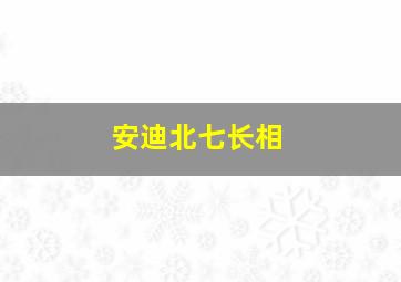 安迪北七长相